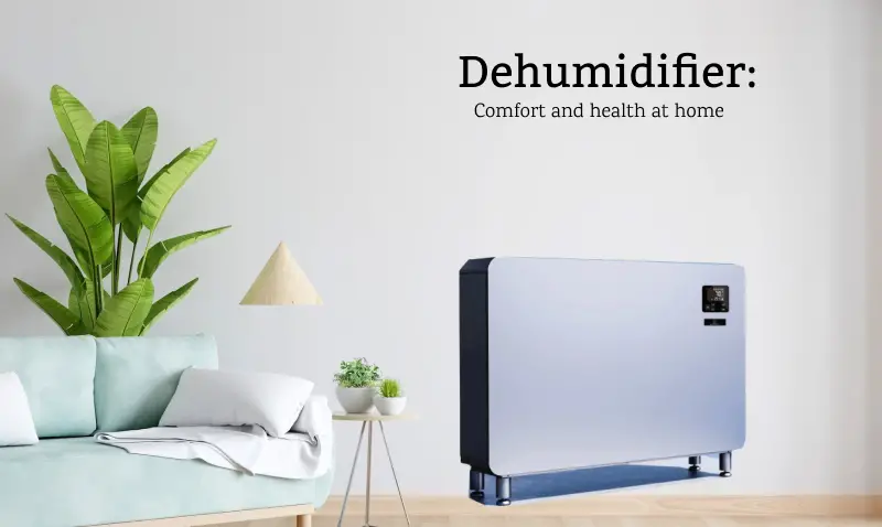 Dehumidifiers: Creating Comfortable and Healthy Indoor Spaces